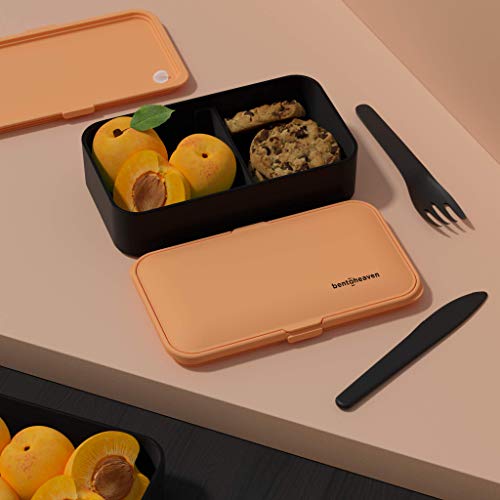 Premium Bento Lunch Box in 8 Modern Colors - 2 Compartments, Leak