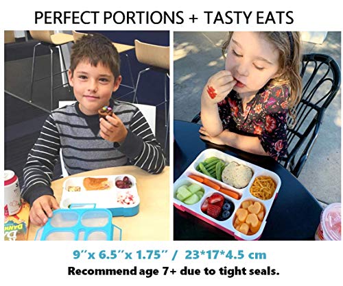 3-PACK TotBox Kids Lunch Box, Bento Snack Box for Daycare, Preschool,  Kindergarten, Toddlers, Baby, Boys, Girls, Small Cute Stackable  Dishwasher-safe